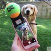 Pooch Selfie mobilra - A szuper kutyaszelfi kütyü
