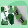 Levél formás mászó növény rögzítő öntapadós csat (10 db)