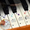 Átlátszó színes zongorabillentyűzet matricák