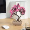 Műnövény dekoráció - bonsai - 18 x 24 cm - 4 féle