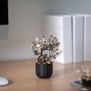 Műnövény dekoráció - bonsai, cserepes - 12 x 17 cm - 4 féle
