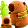 Plüss Capybara - 4 féle változatban 