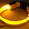 LED kutya nyakörv világító kutyanyakörv Citrom sárga M