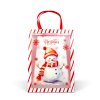 Karácsonyi ajándéktáska - 32 x 25 x 11 cm - 2 féle
