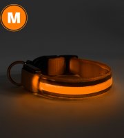 LED-es nyakörv - akkumulátoros - M méret - narancs