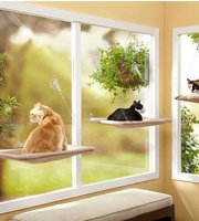 Macska fekhely ablakra, cica fekhely, ablakra tapasztható cicaágy