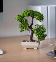 Műnövény dekoráció - bonsai - 10 x 22 cm