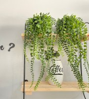 Műnövény dekoráció - futónövény, porccserje - 16 x 26 cm