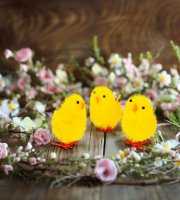 Húsvéti dekoráció - csibe szett - sárga - 6,7 x 5 cm - 3 db / csomag