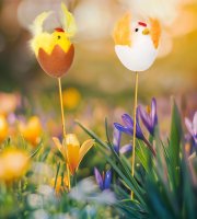 Húsvéti dekoráció - csibe, tyúk - leszúrható - 28 cm