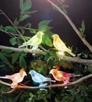 Szolár fényfüzér - madárka, csipeszes - 80 cm - 5 színes, RGB LED
