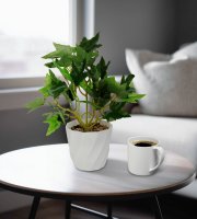 Műnövény dekoráció - borostyán - 20 x 9 cm