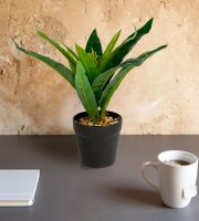 Műnövény dekoráció - zöld sáfrányfa - 20 x 8,5 cm