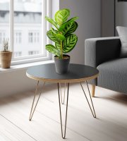 Műnövény dekoráció - zebralevél - zöld - 34 x 9 cm