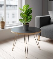 Műnövény dekoráció - zebralevél - zöld - 34 x 9 cm