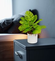 Műnövény dekoráció - monstera - 22 x 8,5 cm