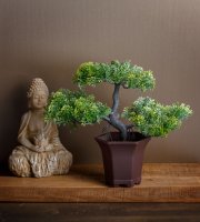 Műnövény dekoráció - bonsai fa - 25 x 9 cm