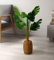 Műnövény dekoráció - filodendron - 1 m