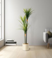Műnövény dekoráció - Dracaena Marginata - zöld - 1,2 m