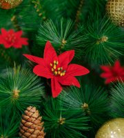 Karácsonyi dekoráció - mikulásvirág - 50 cm
