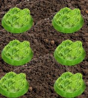 Kertészeti növényvédő gallérok csigák ellen