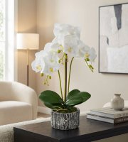 Műnövény dekoráció - orchidea - 2 féle - 53 cm