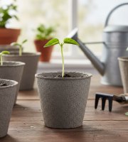 Palántanevelő cserép - Ø8 cm - kerek, papír - 10 db / csomag