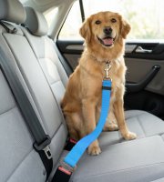 Autós póráz biztonsági övhöz - 45-70 cm, 3 szín